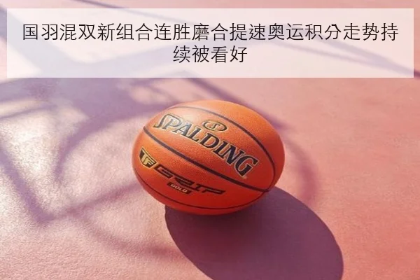 国羽混双新组合连胜磨合提速奥运积分走势持续被看好